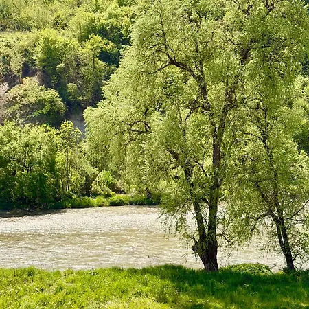 Villa Prestige Deluxe River *
